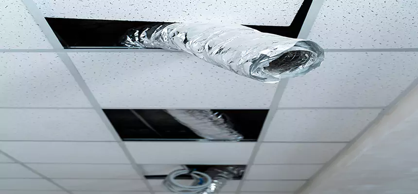 Our Air Duct Pet Hair Removal Services in Bel Air North, MD