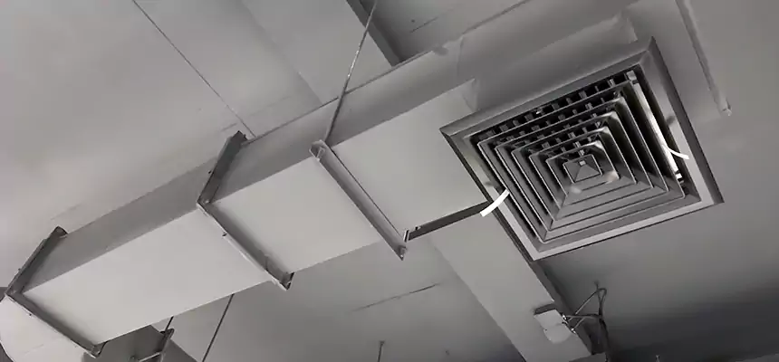 Our Pest Removal From Ducts Services in Bel Air North, MD