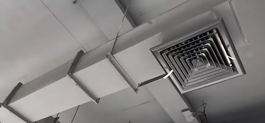 Our Rodent Droppings In Vents Services in Bel Air North, MD