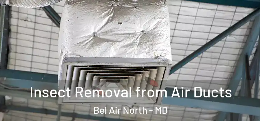  Insect Removal from Air Ducts Bel Air North - MD