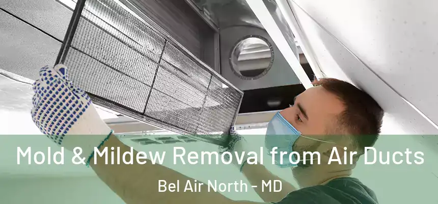 Mold & Mildew Removal from Air Ducts Bel Air North - MD