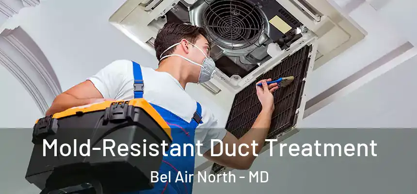  Mold-Resistant Duct Treatment Bel Air North - MD