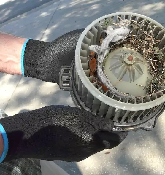 About Air Duct Mice Removal in Bel Air North, MD